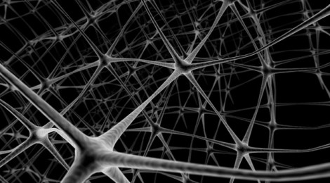 Close-up drawing of neural connections.