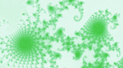 Close-up image of a fractal (in green).