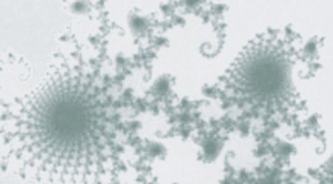 Close-up image of a fractal (in gray).