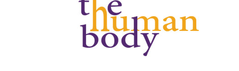The words "the human body."