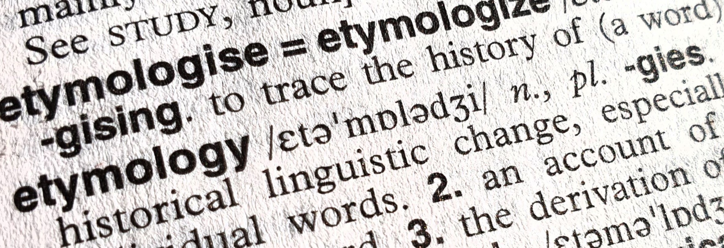 Care for Language: Etymology as a Continental Argument in Bioethics